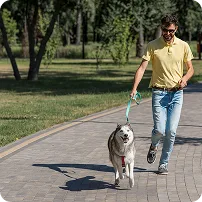 我们的精英团队 - 欧陆娱乐